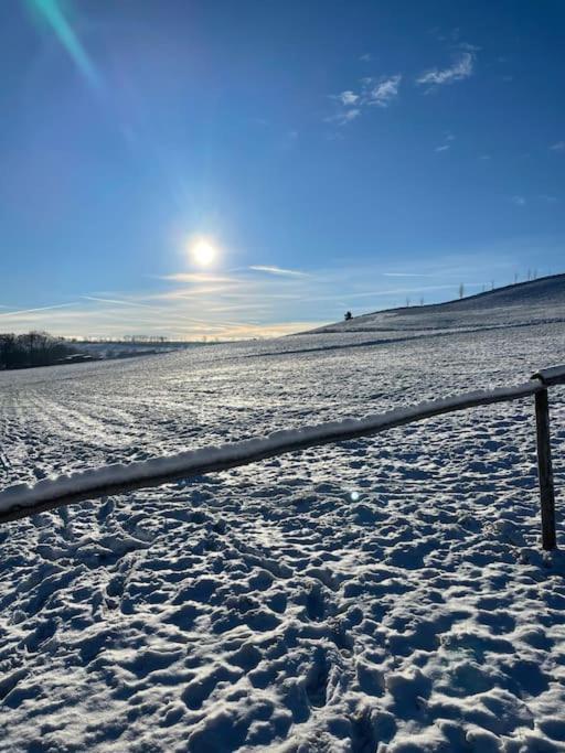 Franzis Feriendomizil Im Herzgebirge Am Skihang Auerbach  Kültér fotó