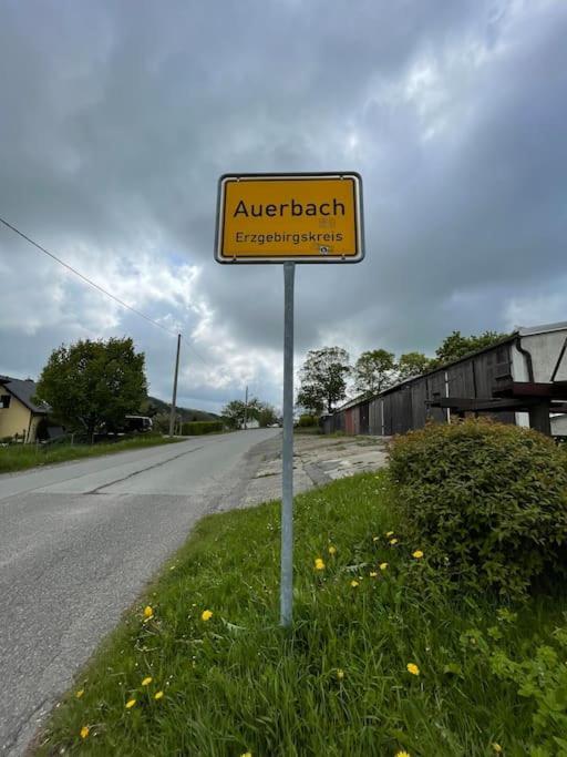 Franzis Feriendomizil Im Herzgebirge Am Skihang Auerbach  Kültér fotó