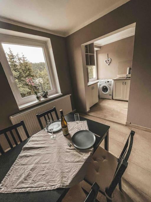 Franzis Feriendomizil Im Herzgebirge Am Skihang Auerbach  Kültér fotó