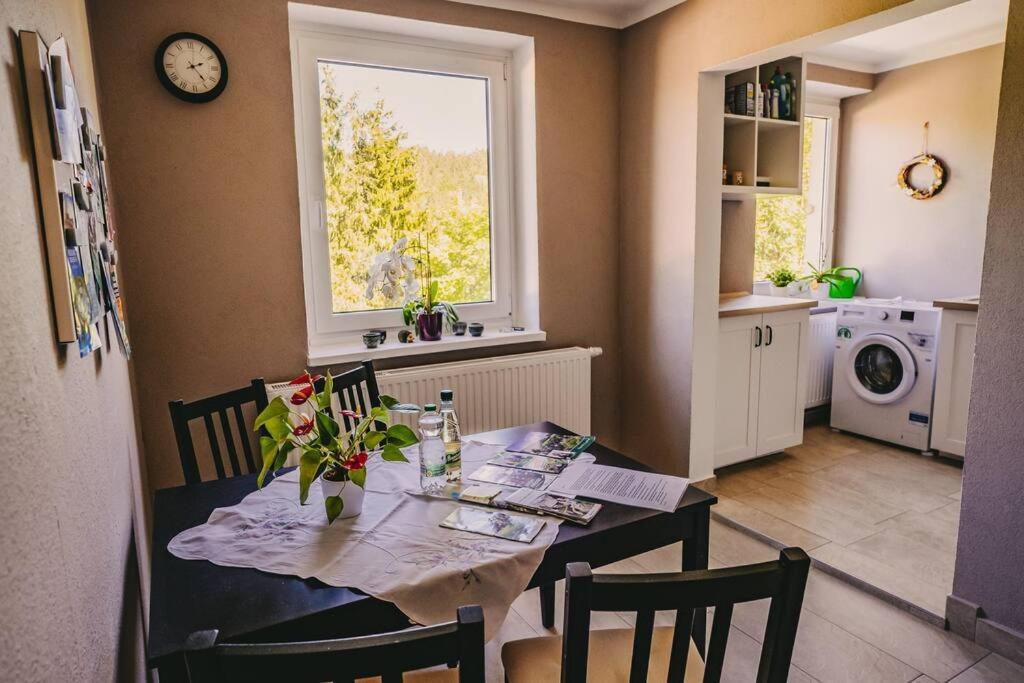 Franzis Feriendomizil Im Herzgebirge Am Skihang Auerbach  Kültér fotó