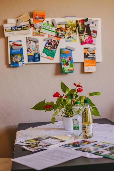 Franzis Feriendomizil Im Herzgebirge Am Skihang Auerbach  Kültér fotó